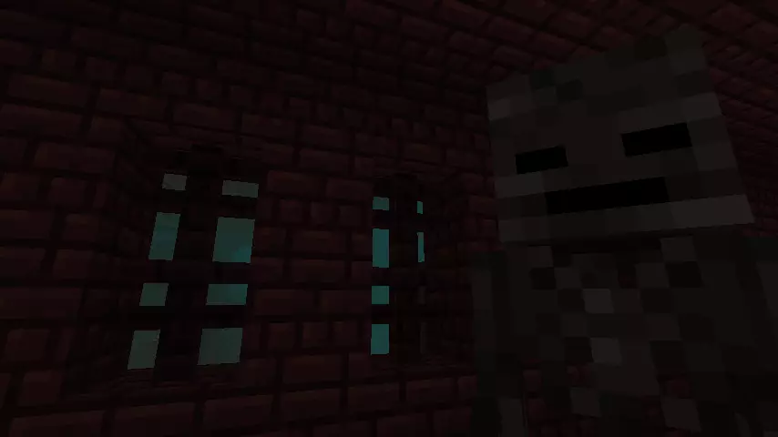 Wither Skeleton in Fortress