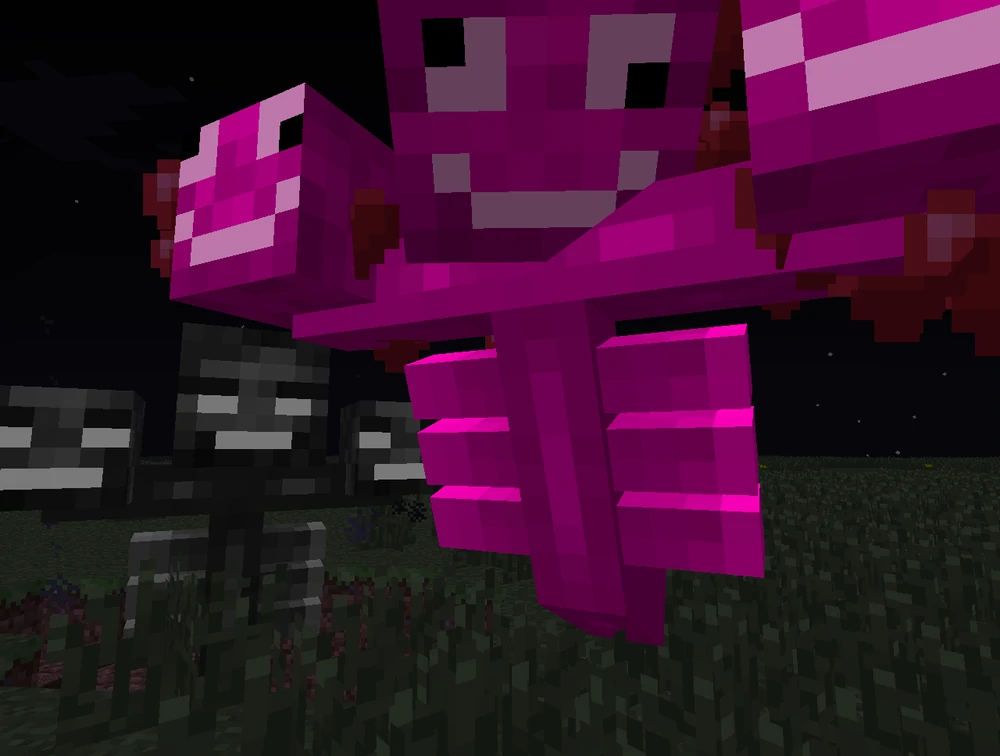 Minecraft Screenshot: Pink Wither